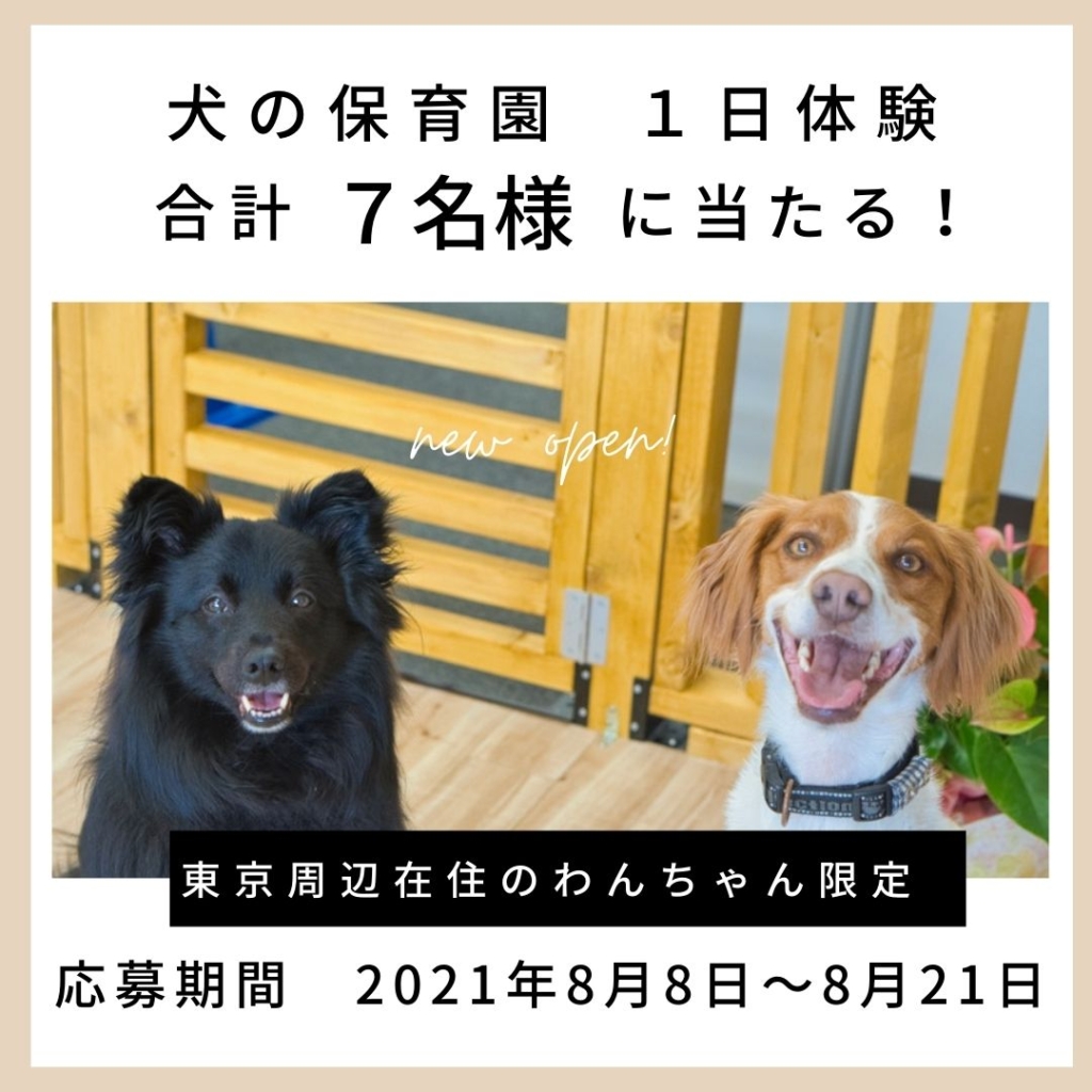 わんトピア_コラボ