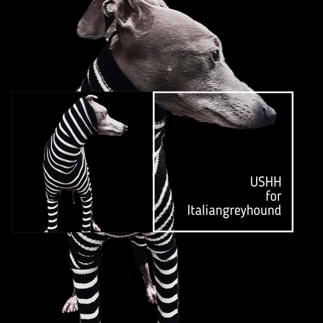 USHH（ｱｼｭ-）_いぬのまどぐち