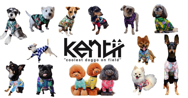 ドッグウェア kentii