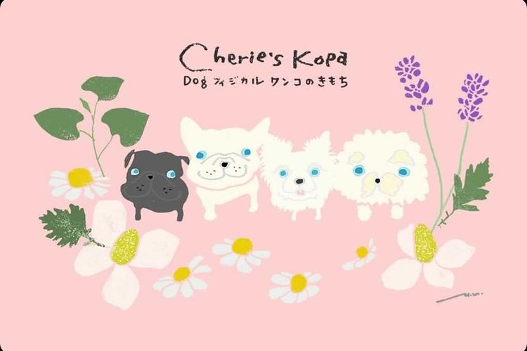 Cherie's Kopa_いぬのまどぐち