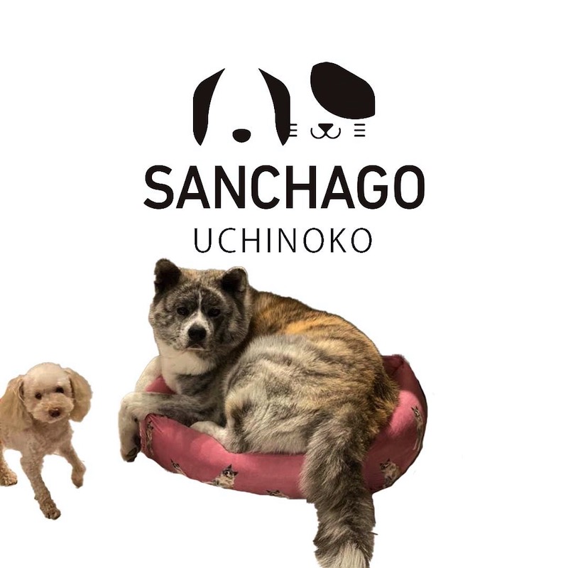 サンチャゴ
