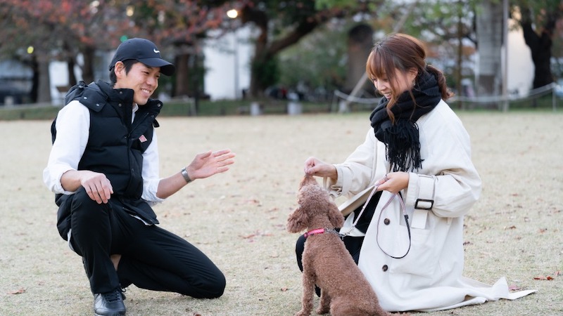 東京DOGS_いぬのまどぐち