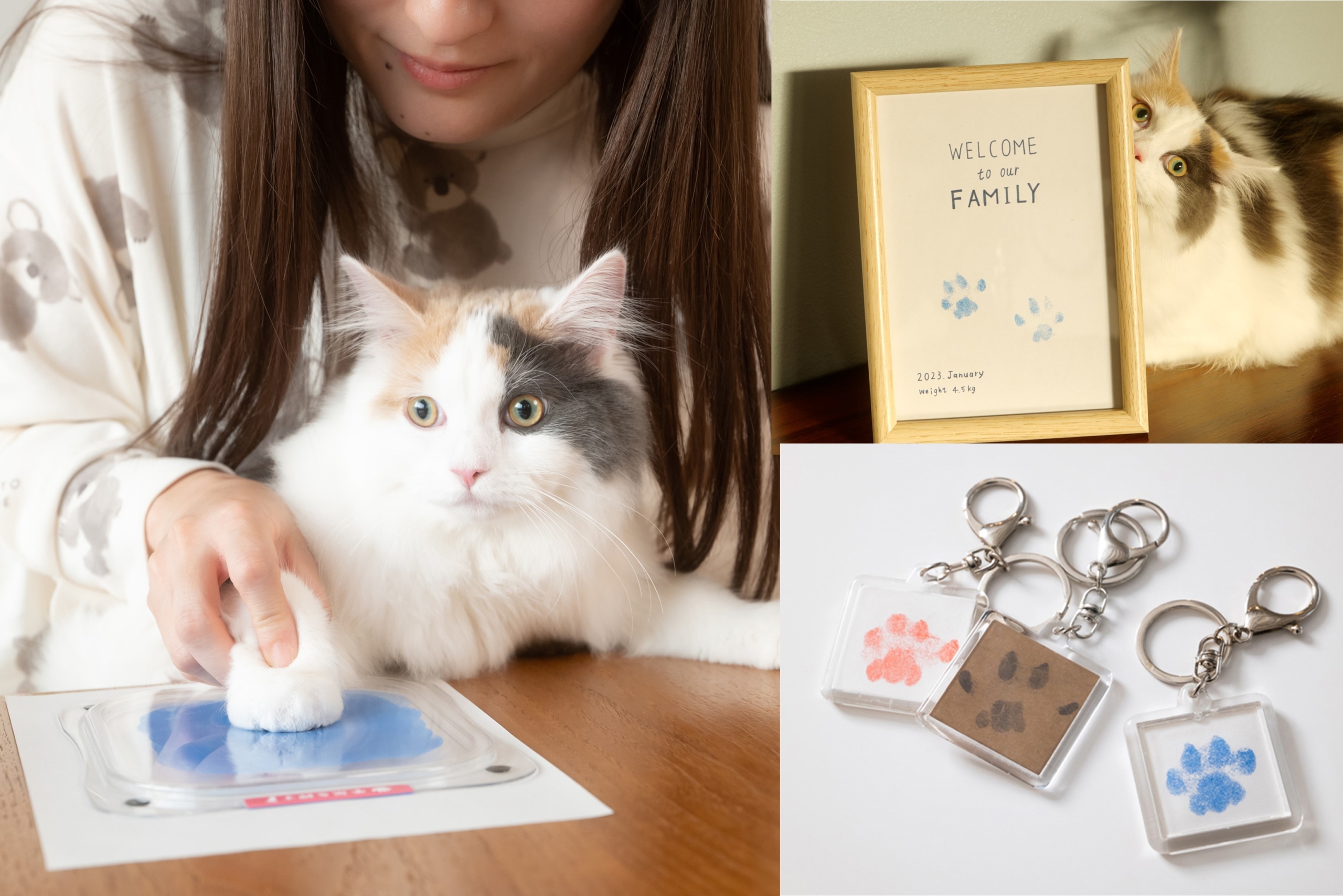 わんちゃん・ねこちゃんの足形を肉球も部屋も汚さずにとれるキット「ぺ 